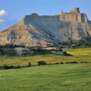 Hotel El Patiaz De La Reina Rana Tauste ภายนอก รูปภาพ